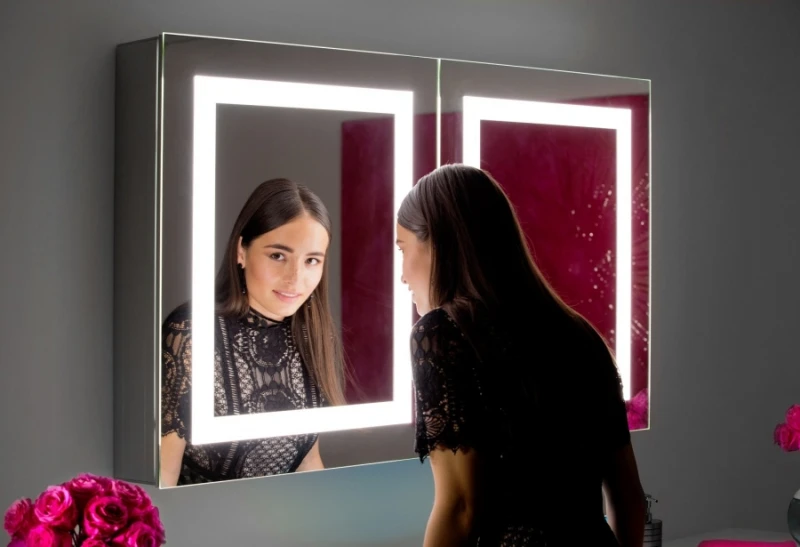 Cabinet Harmony LED mirror — Paris Mirror